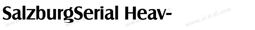 SalzburgSerial Heav字体转换 SalzburgSerial Heav字体转换